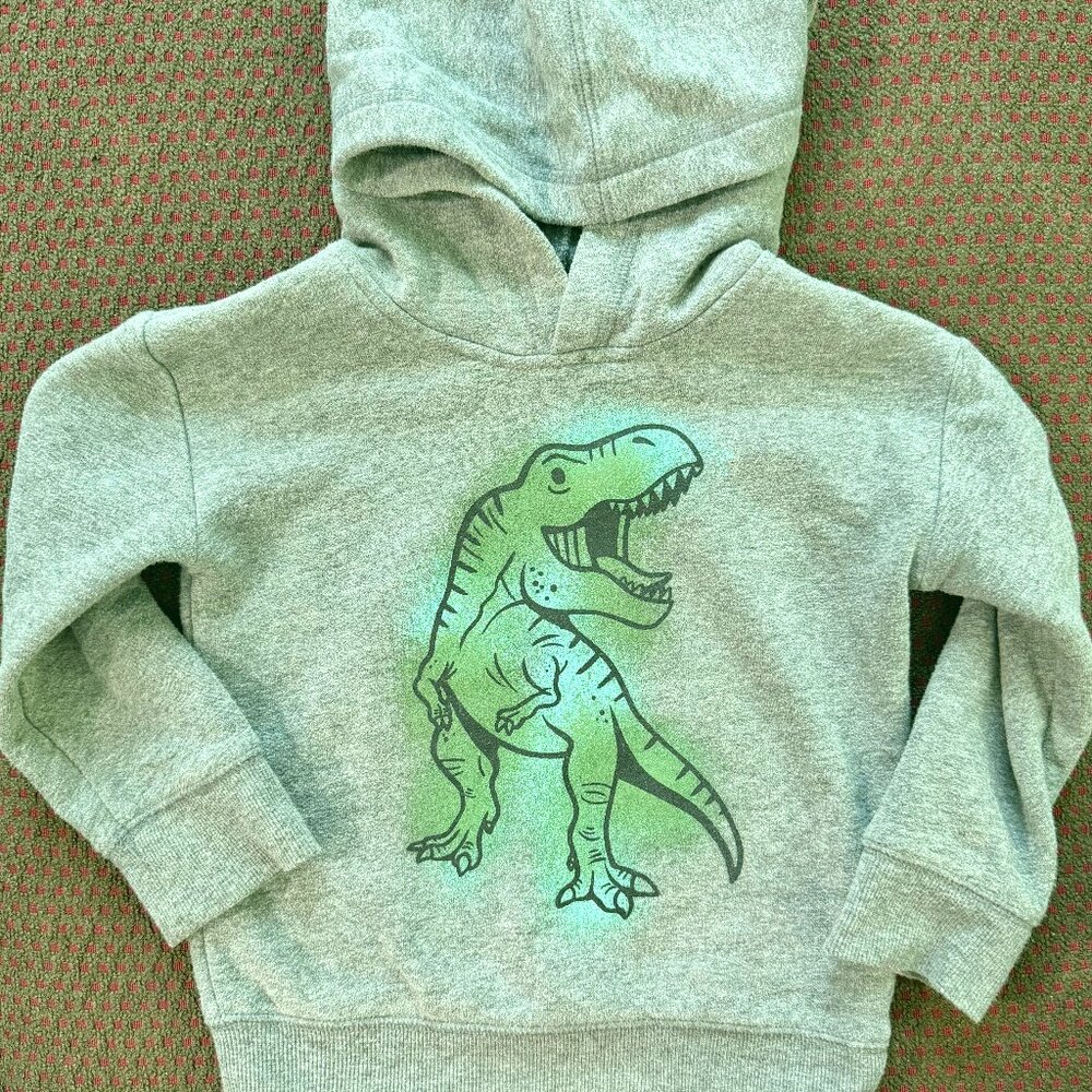 Toddler Boy Dinosaur Hoodie 3T Fleece Pullover Sweatshirt
